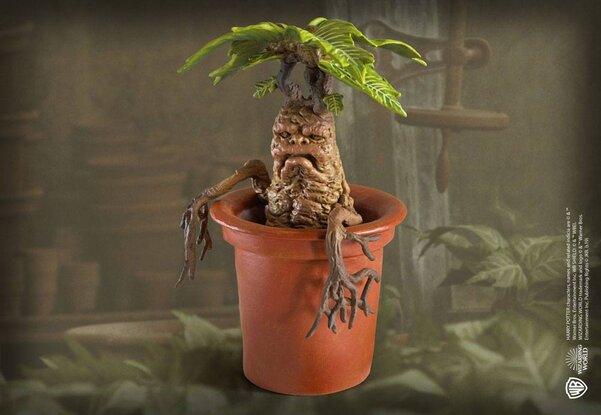 Harry Potter Magical creatures - Mandrake / Harry Potter: magiczne stworzenia - Mandragora