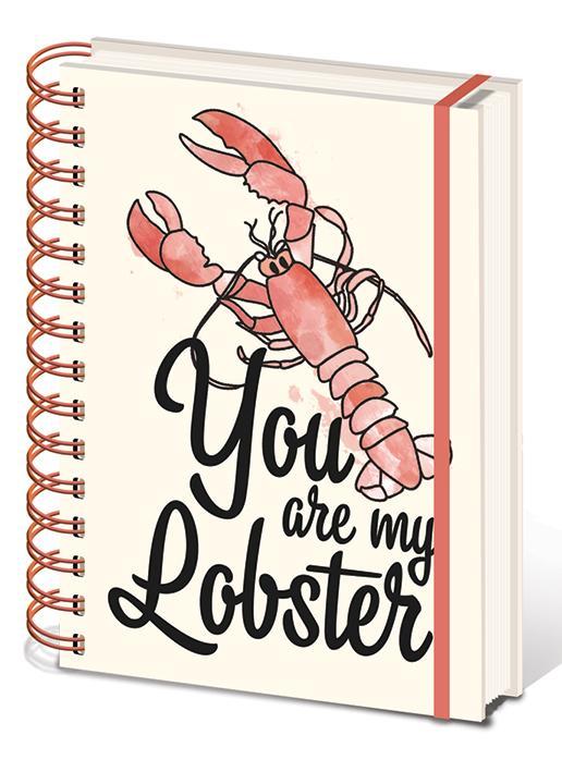 FRIENDS (YOU ARE MY LOBSTER) A5 NOTEBOOK / notatnik A5 Przyjaciele (YOU ARE MY LOBSTER)