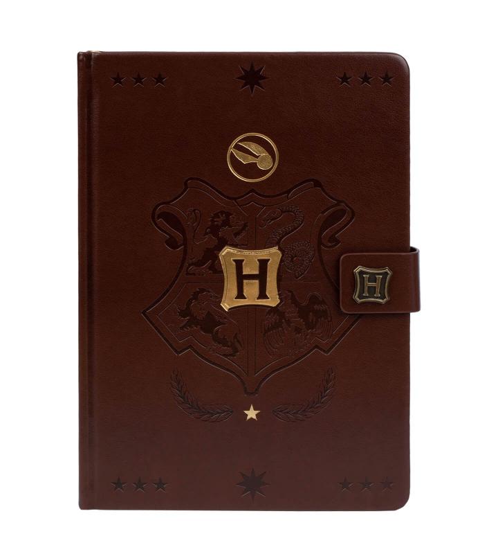 HARRY POTTER (QUIDDITCH) A5 PREMIUM NOTEBOOK / notatnik A5 premium Harry Potter - QUIDDITCH