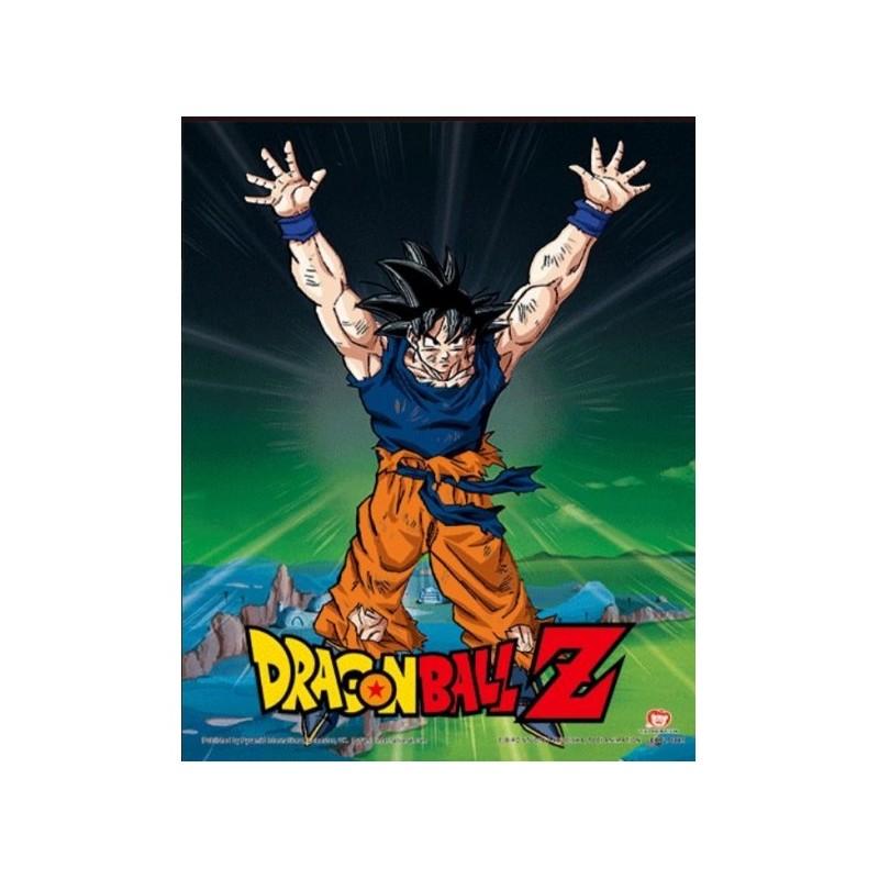 DRAGON BALL Z - Power Level Increased - 3D Lenticular Poster in frame (29 x 24 x 4 cm) / Dragon Ball plakat 3D w ramce - Zwiększenie poziomu mocy (29 x 24 x 4 cm)