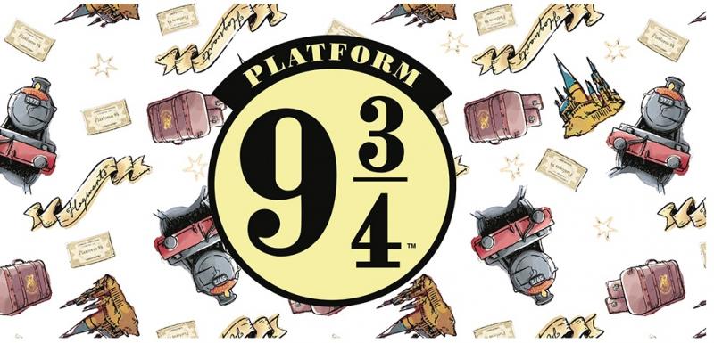 Harry Potter heat change mug - Platform 9 3/4 / Harry Potter kubek termoaktywny - Peron 9 3/4