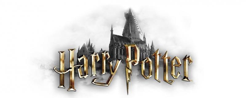 Harry Potter heat change mug - Hogwarts / Harry Potter kubek termoaktywny - Hogwart
